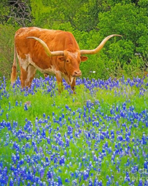 bluebonnet-and-longhorn-paint-by-number