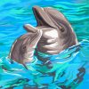 dolphins-paint-by-numbers-1