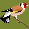 european-goldfinch-paint-by-number