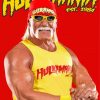 hulk-hogan-paint-by-number