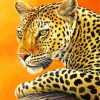 leopard-paint-by-numbers