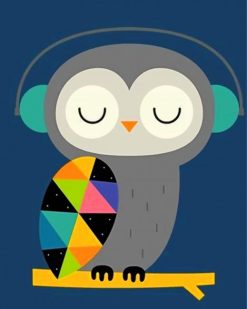 Owl Listening To Music paint by numbers