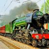 flying-scotsman-paint-by-numbers