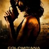 colombiana-movie-paint-by-numbers