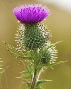 single-thistle-paint-by-numbers