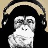 Black Chimp With Headphones paint by numbers