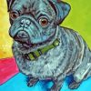 Black Pug Dog paint by numbers