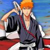 Bleach Ichigo Paint by numbers