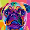 Colorful Pug Dog paint by numbers