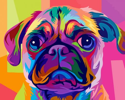 Colorful Pug Dog paint by numbers