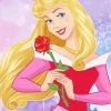 Disney Princess Aurora paint by numbers