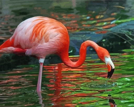 Flamingo Drinking Water Paint by numbers