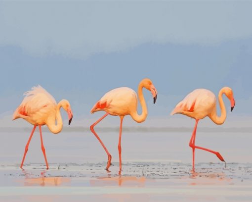 Flamingos Birds paint by numbers