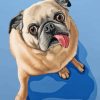 Funny Pug Dog paint by numbers