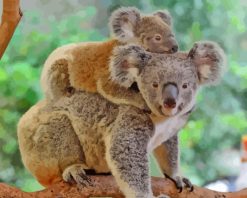 Koala And Her Baby paint by numbers