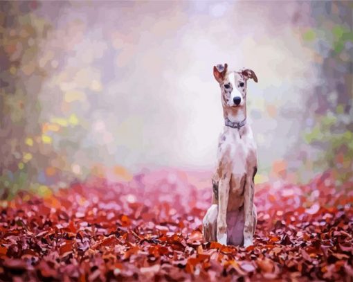 Lurcher Puppy paint by numbers