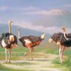 Ostrich Birds paint by numbers