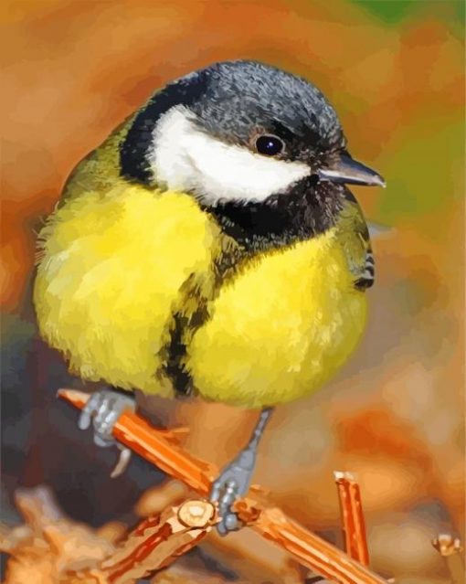 Parus Major Bird paint by numbers