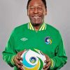 Pele Edson Arantes Do Nascimento paint by numbers