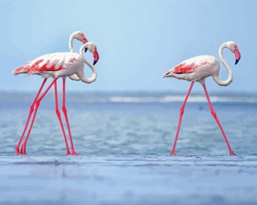 White Pink Flamingos Paint by numbers