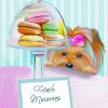 Yorkie Dog And Macarons paint by numbers