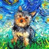 Yorkie Starry Night paint by numbers