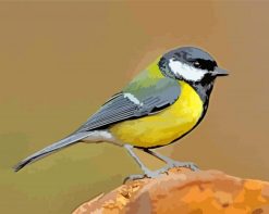 Black And Yellow Parus paint by numbers