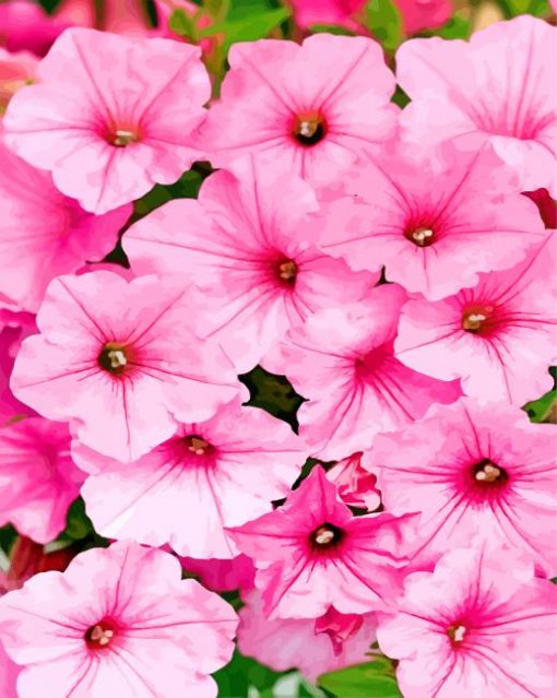 Pink Petunias paint by numbers