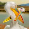 White Pelicans paint by numbers