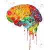 Colorful Brain Art paint by numbers paint by numbers