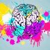 Colorful Splash Human Brain paint by numbers