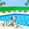 Dalmatian In Pool paint by numbers