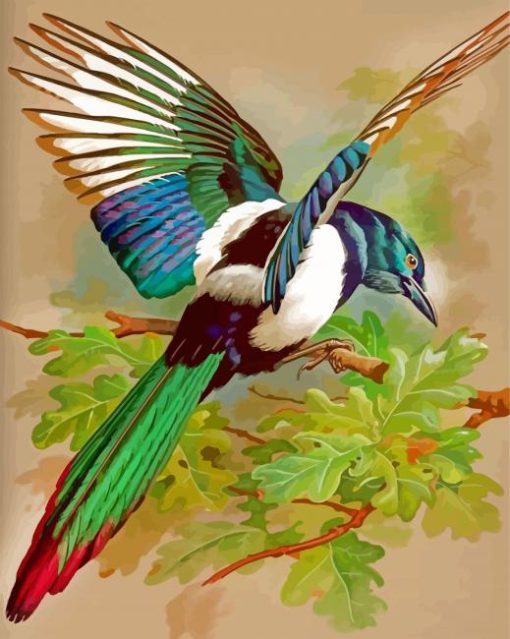 Magpie Bird paint by numbers