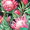 Pink Protea paint by numbers