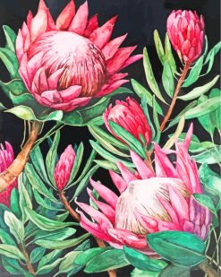 Pink Protea paint by numbers