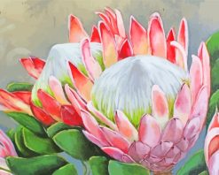 Protea Plants Art paint by numbers