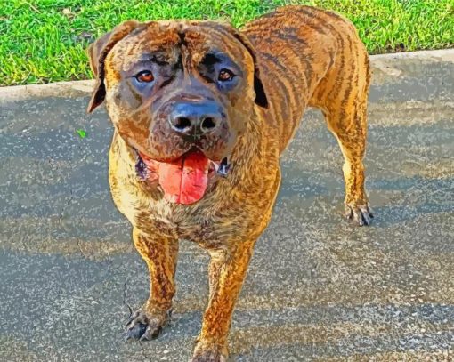 Brindle Mastiff Pet paint by numbers