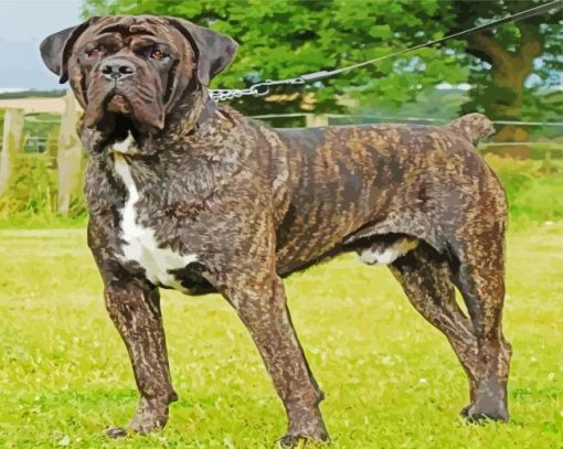 Brindle Mastiff Dog paint by numbers