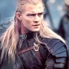 Sindar Elf Legolas paint by numbers