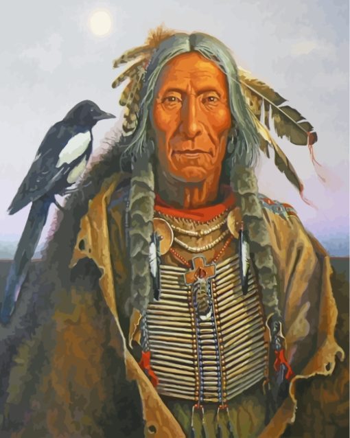 Old Native Indian paint by numbers