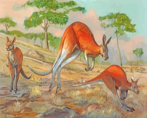 Red Kangaroos Art paint by numbers