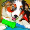 Australian Shepherd Aussie Dog paint by numbers