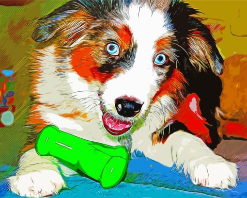 Australian Shepherd Aussie Dog paint by numbers