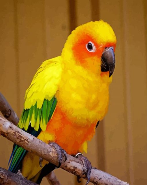 Yellow Conure Bird paint by numbers