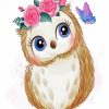 Cute Owl paint by numbers