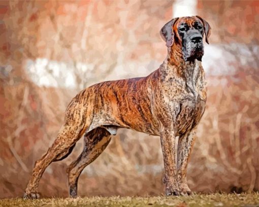 Great Dane Brindle Color Dog paint by numbers