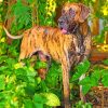 Great Dane Brindle Color paint by numbers