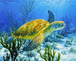 Sea Turtle paint by numbers