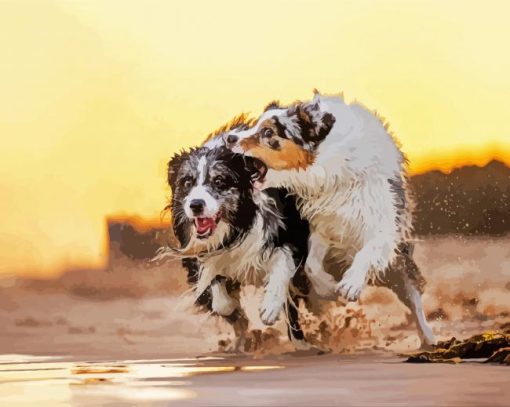 Wet Collies paint by numbers