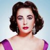 Actress Elizabeth Taylor Paint by numbers